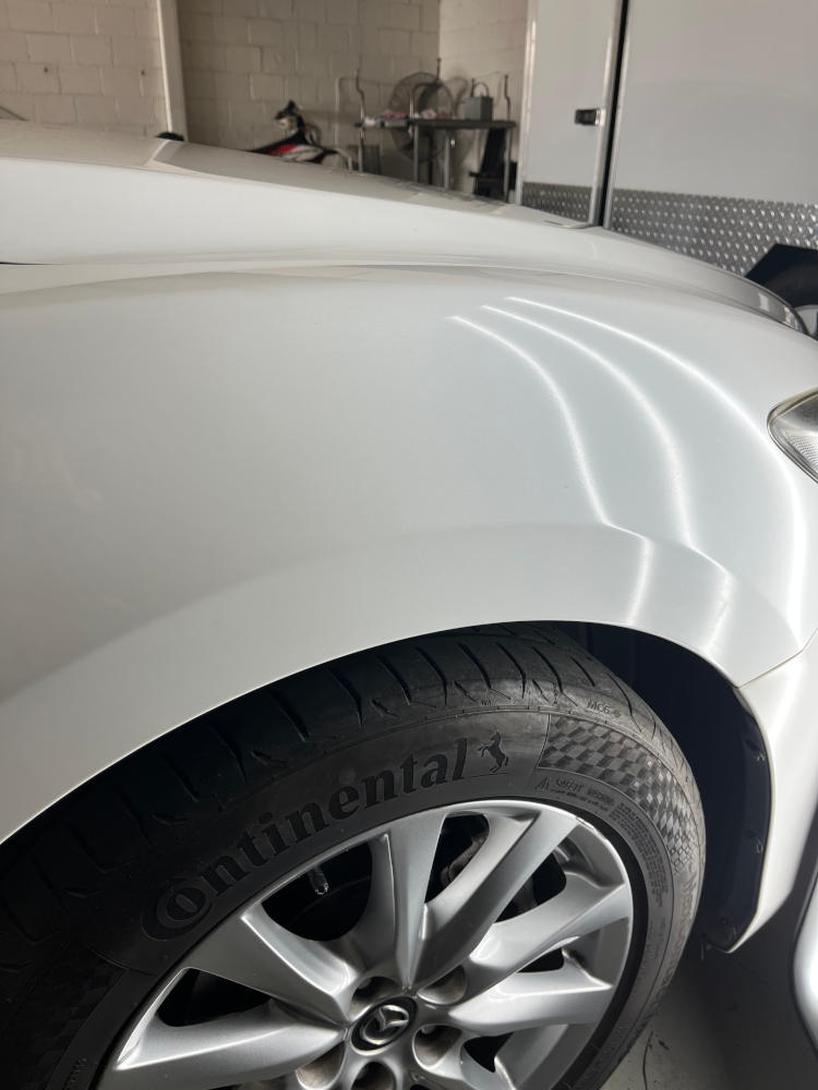 car panel with a dent repaired